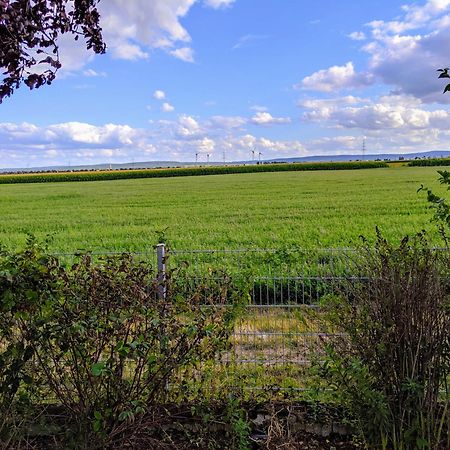 Grosse Schoenheit Mit Panoramablick Euskirchen Exterior foto